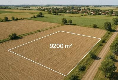 Teren de 9200 mp, în Satu Mare - 3