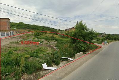 Teren Construcții intravilan de 5575 mp, în Tomești - 1
