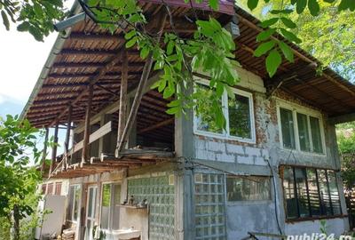 Casă cu 3 camere cu Teren 3290 Mp în Drănic - 4