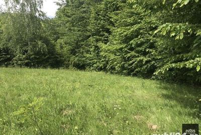Teren de 14600 mp, în Albești