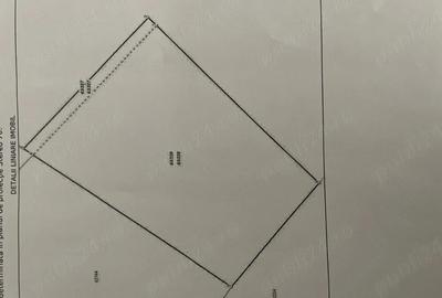 Teren de 586 mp, în Paleu - 2