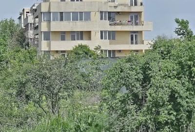 Teren de 8000 mp, în Domnești
