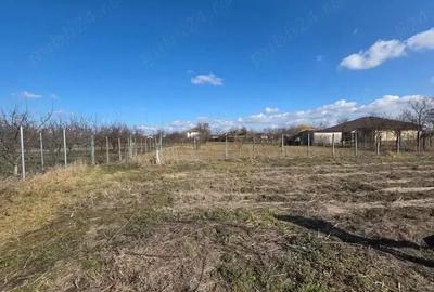 Teren de 676 mp, în Moșnița Veche - 7