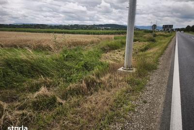 Teren de 6200 mp, în Gălănești
