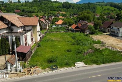 Teren de 1570 mp, în Central - 3