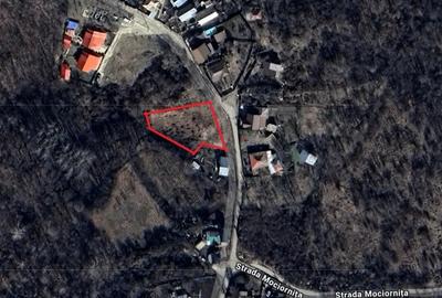 Teren de 1353 mp, în Seciu - 6