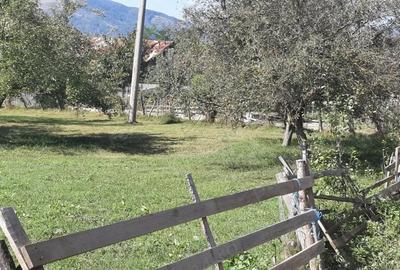 Teren de 8540 mp, în Breaza - 1