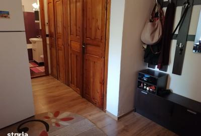 Apartament cu 2 camere decomandat în Rovine - 8