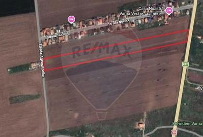 Teren de 19500 mp, în Limanu - 1