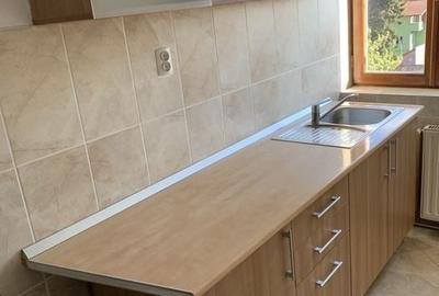 Apartament cu 2 camere nedecomandat în Mureșeni - 5