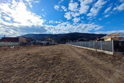 Teren de 2300 mp, în Dărmănești - 1