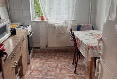 Apartament cu 2 camere semidecomandat, mobilat în Brotăcei - 3