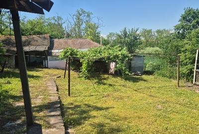 Casă individuală cu 4 camere cu Canalizare în Independența - 16