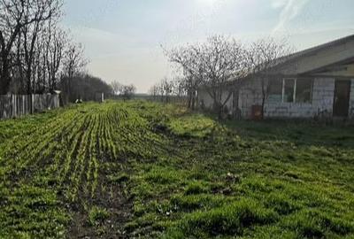 Teren de 5000 mp, în Central - 3