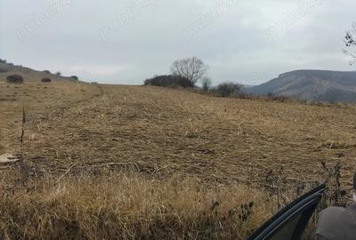 Teren de 5600 mp, în Central