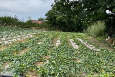 Casă cu Teren 970 Mp în Central - 1