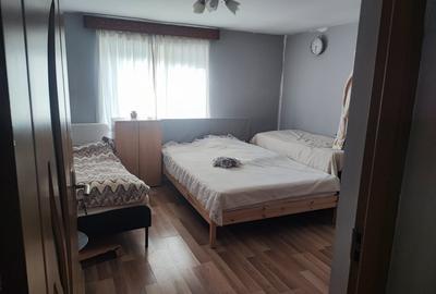 Casă cu 3 camere în Ibănești - 2