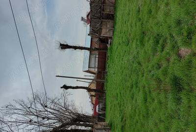 Teren de 2137 mp, în Șerbănești (Rociu) - 2