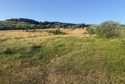 Teren de 7300 mp, în Șardu