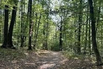 Teren extravilan de 7100 mp, în Bârnova - 1