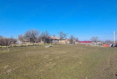 Teren de 1600 mp, în Islaz - 1