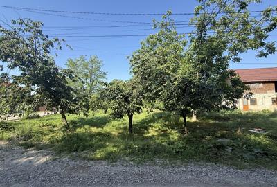 Casă individuală cu 3 camere cu Canalizare în Târgșoru Nou - 20