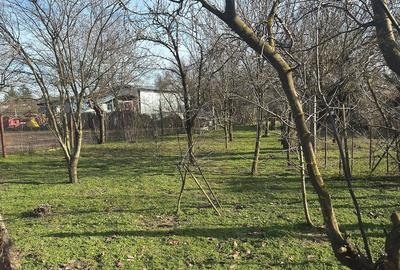 Casă cu Teren 1060 Mp în Moșteni