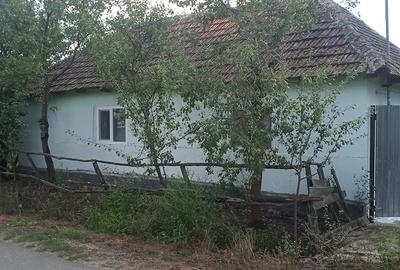 Casă cu Teren 5000 Mp în Miheleu - 1