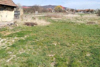 Casă cu Teren 1300 Mp în Central