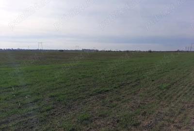 Teren de 18000 mp, în Ciorogârla - 4