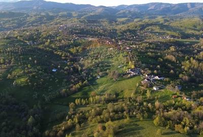 Teren de 15459 mp, în Bughea de Sus - 12