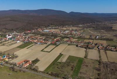 Teren Construcții intravilan de 2970 mp, în Odvoș - 3