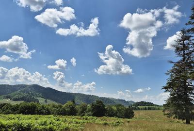 Teren de 3546 mp, în Holbav