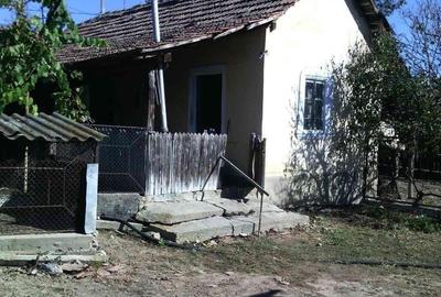 Casă cu 5 camere cu Teren 3000 Mp în Orevița Mare - 3
