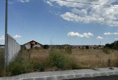 Teren de 800 mp, în Mahmudia - 4