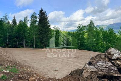 Teren Construcții extravilan de 18000 mp, în Exterior Sud - 25