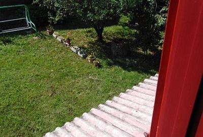 Casă cu 3 camere în Cărbunari - 5