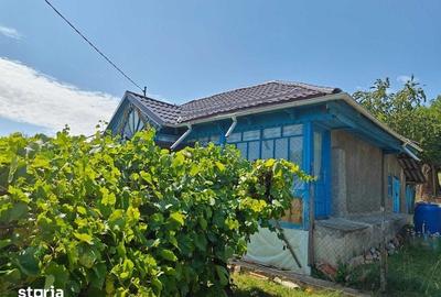 Casă cu 3 camere cu Teren 60 Mp în Tanacu