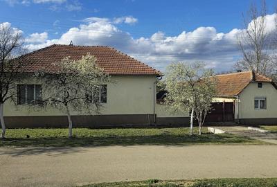 Casă cu 3 camere cu Teren 949 Mp în Curtea