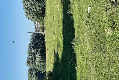Teren Construcții intravilan de 14587 mp, în Central - 2