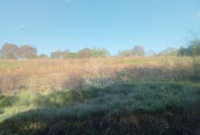 Teren agricol intravilan de 12614 mp, în Ghirolt - 4