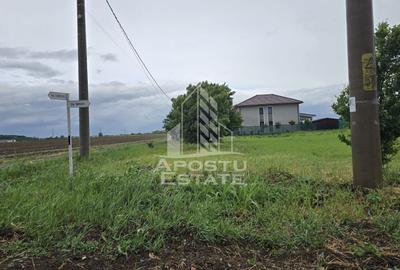 Teren Construcții intravilan de 757 mp, în Dumbrăvița - 2