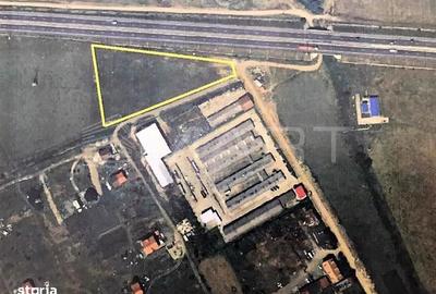 Teren de 6500 mp, în Veterani