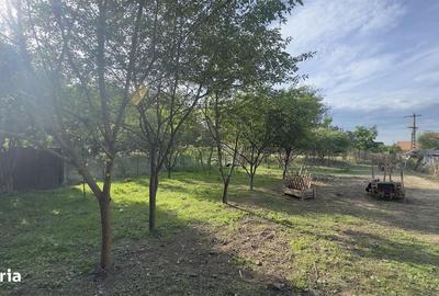 Casă cu 4 camere în Șura Mare