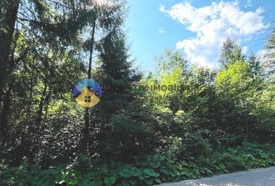 Teren Construcții intravilan de 3800 mp, în Tarcău - 2