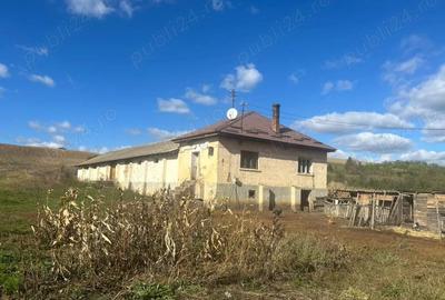 Spațiu comercial, de 250 mp, în Nima Râciului - 4