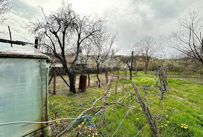 Casă cu Teren 2470 Mp în Mârțești - 4