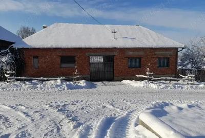 Casă cu Teren 1400 Mp în Feniș - 4