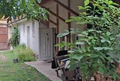Casă cu 2 camere în Central