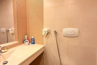 Apartament cu 3 camere semidecomandat în Vitan - 5
